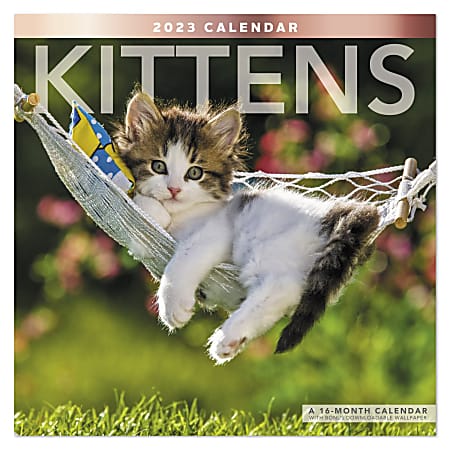 Office Depot® Brand Monthly Wall Calendar, Kittens, January To December 2023, ODE3231023