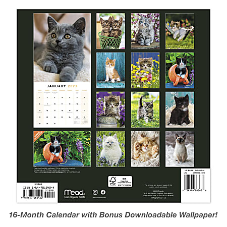 Office Depot Brand Monthly Wall Calendar Kittens January To December ...