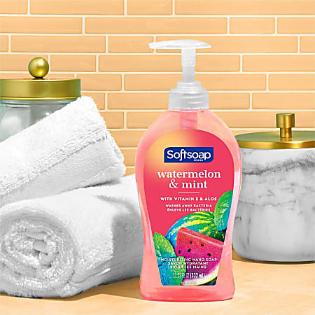 Softsoap Watermelon & Mint Hand Soap (11.25 fl oz)