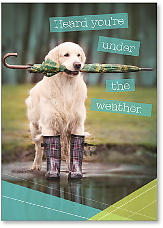 Viabella Get Well Greeting Card Dog 5