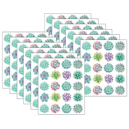 Teacher Created Resources® Stickers, Rustic Bloom Succulents, 120 Stickers Per Pack, Set Of 12 Packs