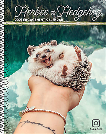 Willow Creek Press Weekly Engagement Calendar, 8-1/2" x 6-1/2", FSC® Certified, Herbee The Hedgehog, January To December 2021