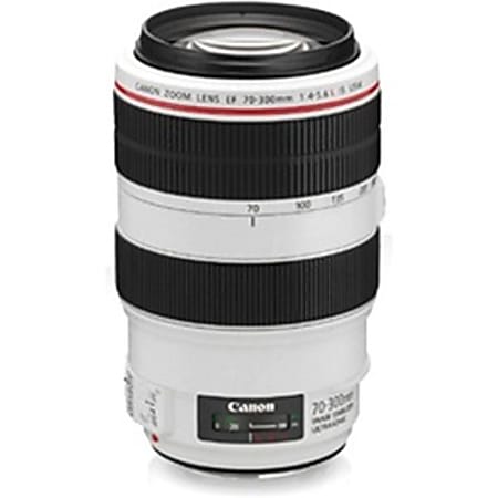 Canon EF 4426B002 - 70 mm to 300 mm - f/5.6 - Telephoto Zoom Lens for Canon EF/EF-S - 67 mm Attachment - 4.3x Optical Zoom