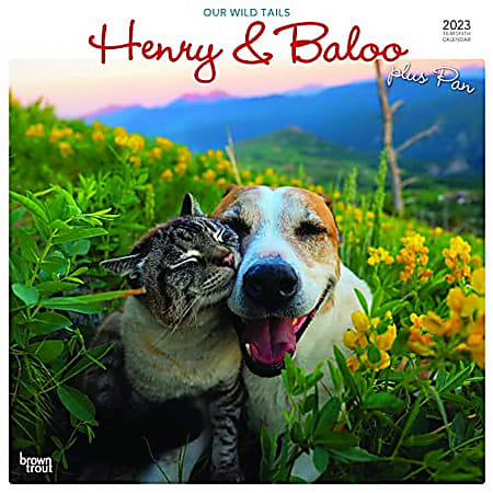 Brown Trout Humor & Comics Monthly Wall Calendar, 12" x 12", Henry & Baloo Our Wild Tails, January To December 2023