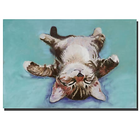 Trademark Global Little Napper Gallery-Wrapped Canvas Print By Pat Saunders-White, 16"H x 24"W