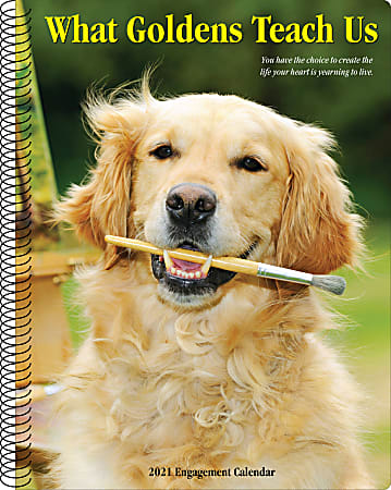 Willow Creek Press Weekly Engagement Calendar, 8-1/2" x 6-1/2", FSC® Certified, Golden Retrievers, January To December 2021