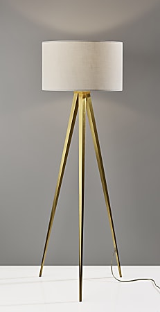 Adesso director floor lamp 2025