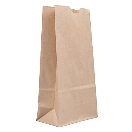 JAM Paper® Small Kraft Lunch Bags, 4-1/4" x