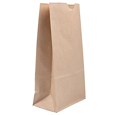 JAM Paper® Medium Kraft Lunch Bags, Brown, 5