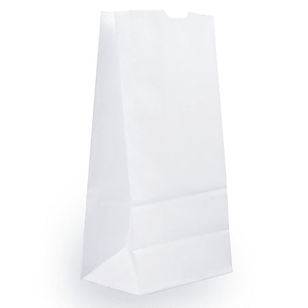 JAM Paper Medium Kraft Lunch Bags 9 3 4 x 5 x 3 White Pack Of 25 Bags