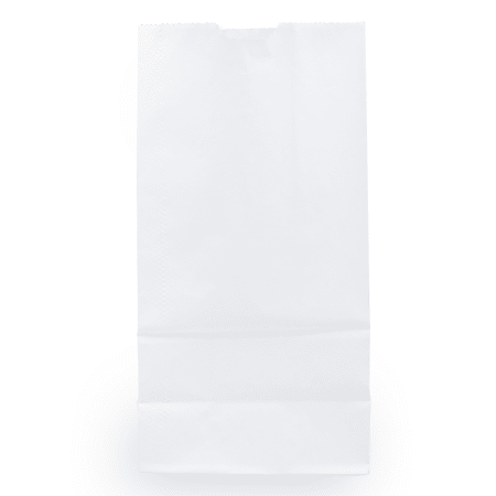 JAM Paper Medium Kraft Lunch Bags 9 34 x 5 x 3 White Pack Of 25