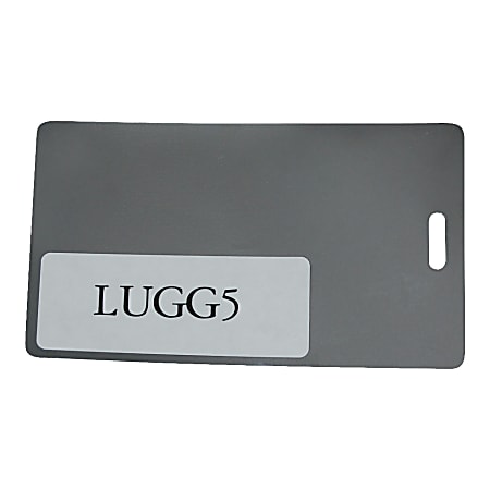 Loma Laminate Pouch, Luggage Tag, 2.5" x 4.25", Clear, Box Of 500