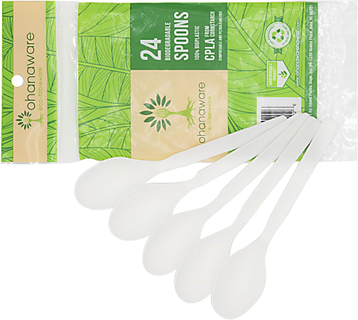 Ohanaware Disposable Cutlery, Spoons, White, Pack Of 24