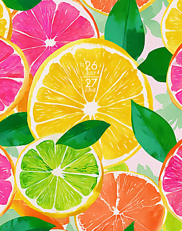 Willow Creek Press Monthly Academic Booklet Planner, 7-1/2" x 9-1/2", Citrus Squeeze, July 2026 - June 2027, Total Qty 1