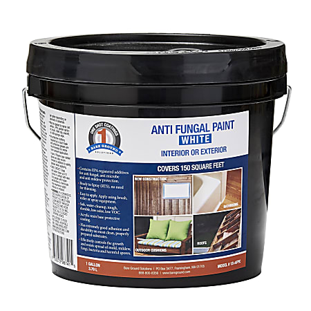 Bare Ground Solutions 1 Shot Antifungal Paint, 128 Oz, White