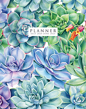 2024-2025 Willow Creek Press Academic Monthly Planner, 7-1/2" x 9-1/4", Succulents, July To June, 47644