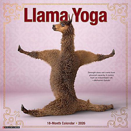 2026 Willow Creek Press Animals Monthly Wall Calendar, 12" x 12", Llama Yoga, January To December, 55489