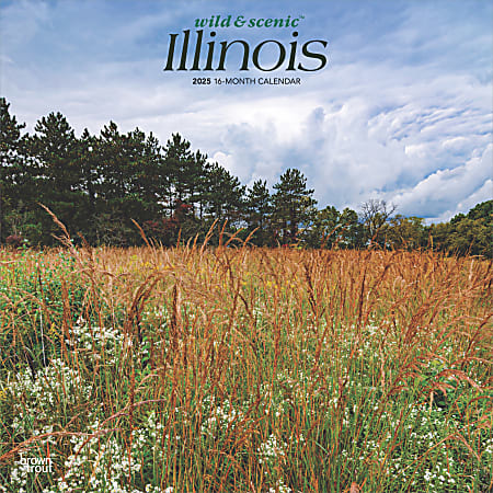 2025 BrownTrout Illinois Wild & Scenic Monthly Plastic-Free Square Wall Calendar, 12" x 12", American States, January to December 2025, 9781975474935