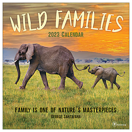 TF Publishing Animal Monthly Wall Calendar, 12" x 12", Wild Family, January To December 2023