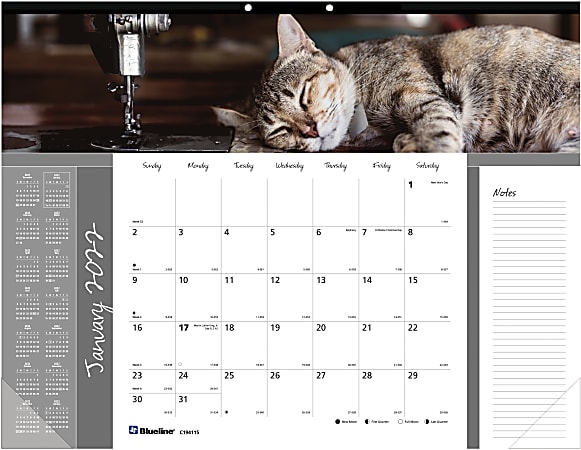Blueline® Monthly Desk Calendar, 17" x 22", Furry, January To December 2022, C194115