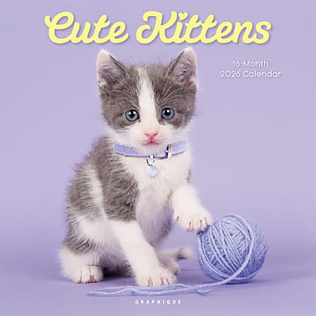 2026 Graphique Animals Monthly Wall Calendar, 12" x 12", Cute Kittens, January To December, CY97626