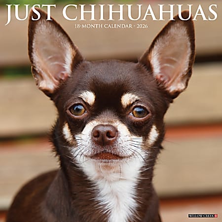 2026 Willow Creek Press Animals Monthly Wall Calendar, 12" x 12", Chihuahuas, January To December, 50699