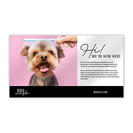 Custom Printed Full-Color 6" x 11" Extra Large Size Postcards, Single Sided, Box Of 50