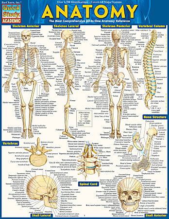 QuickStudy Guide, Anatomy 1