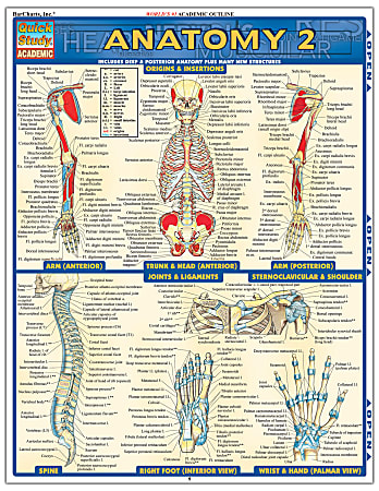 QuickStudy Guide, Anatomy 2