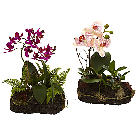 Nearly Natural Orchid Island 10”H Artificial Floral Arrangements With Pot, 10”H x 7”W x 6”D, Pink/Green, Set Of 2