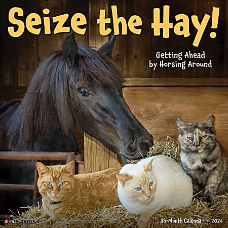 2026 Willow Creek Press Humor & Comics Monthly Wall Calendar, 12" x 12", Seize the Hay, January To December, 52730