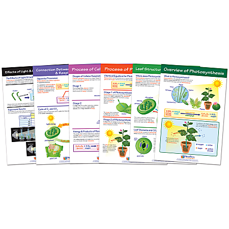 New Path Learning Photosynthesis Bulletin Board Chart Sets, Grades 3-5, Pack Of 6 Sets