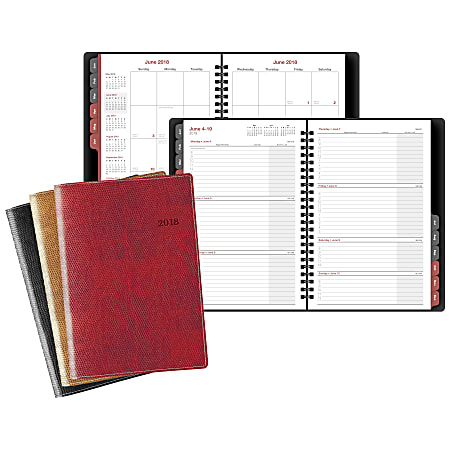 Day-Timer® Faux Lizard Weekly/Monthly Appointment Book/Planner, 5 1/2" x 8 1/2", Assorted Colors, 50% Recycled, January to December 2018 (353101801)
