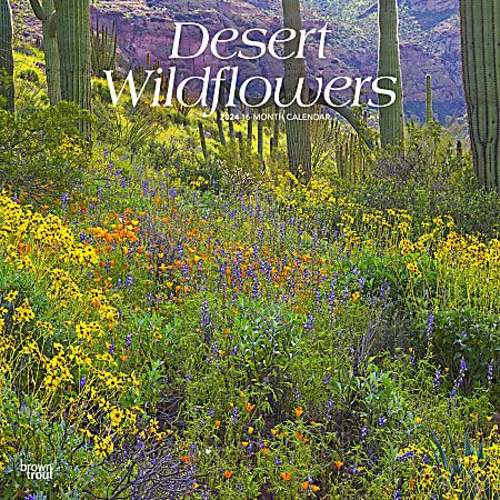 2024 Brown Trout Monthly Square Wall Calendar, 12" x 12", Desert Wildflowers, January To December