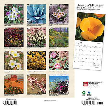 2024 Brown Trout Monthly Square Wall Calendar 12 x 12 Desert ...