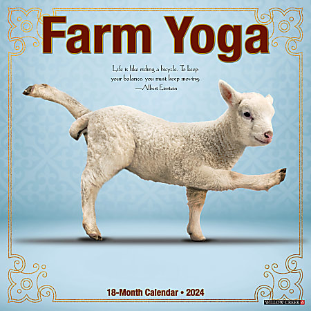 2024 Willow Creek Press Scenic Monthly Wall Calendar, 12" x 12", Farm Yoga, January To December