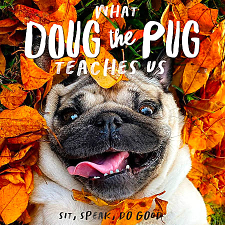 Willow Creek Press Hardcover Gift Book, 5-1/2" x 5-1/2", Doug The Pug