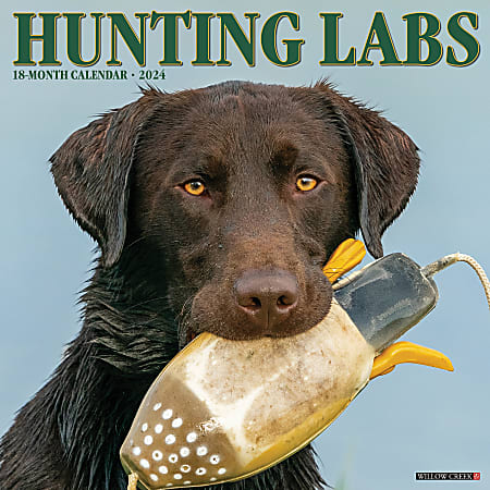 2024 Willow Creek Press Animals Monthly Wall Calendar, 12" x 12", Hunting Labs, January To December
