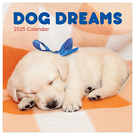 2025 TF Publishing Monthly Wall Calendar, 12” x 12”, Dog Dreams, January 2025 To December 2025