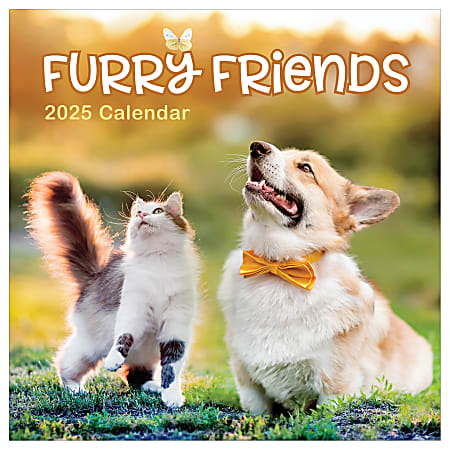 2025 TF Publishing Monthly Wall Calendar, 12” x 12”, Furry Friends, January 2025 To December 2025