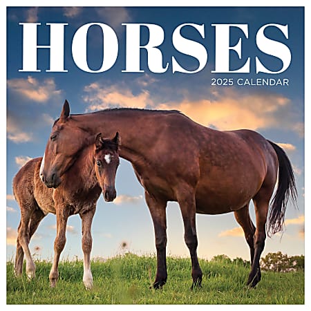2025 TF Publishing Monthly Wall Calendar, 12” x 12”, Horses, January 2025 To December 2025