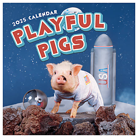 2025 TF Publishing Monthly Wall Calendar, 12” x 12”, Playful Pigs, January 2025 To December 2025
