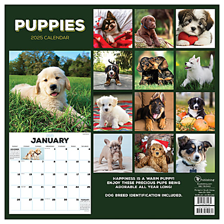 2025 TF Publishing Monthly Wall Calendar 12 x 12 Puppies January 2025 ...