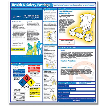 ComplyRight™ General Industry Health And Safety Poster, English, 24" x 28"