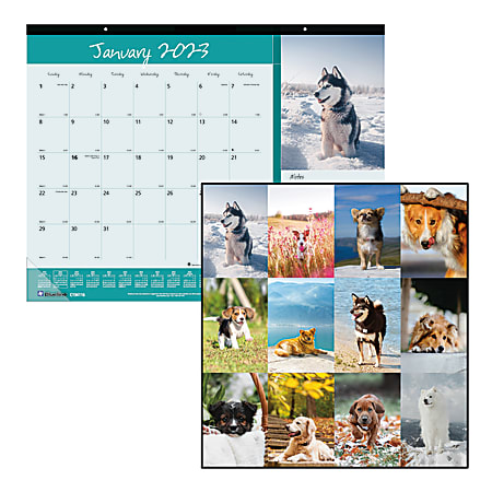 Blueline® Colorful Monthly Desk Pad Calendar, 22" x 17", Man's Best Friend, January To December 2023, C194116