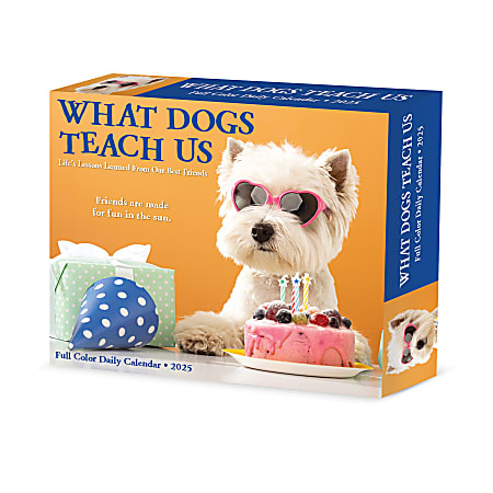 2025 Willow Creek Press Daily Desk Box Calendar, Animals, 5-1/2” x 6-1/4”, What Dogs Teach Us, January To December, 41116