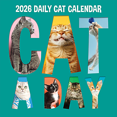 2026 TF Publishing Animals Monthly Wall Calendar, 12" x 12", Cat-A-Day, January To December