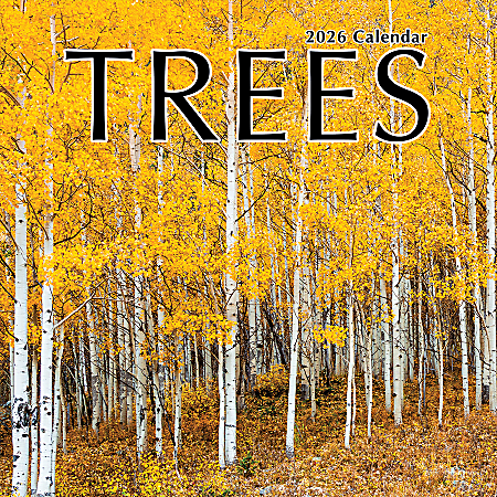 2026 TF Publishing Scenic & Nature Monthly Wall Calendar, 12" x 12", Trees, January To December