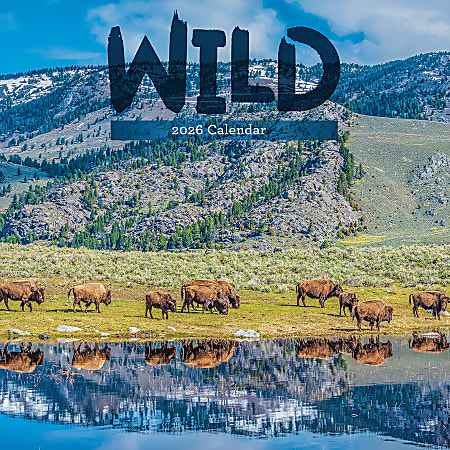 2026 TF Publishing Animals Monthly Wall Calendar, 12" x 12", Wild, January To December