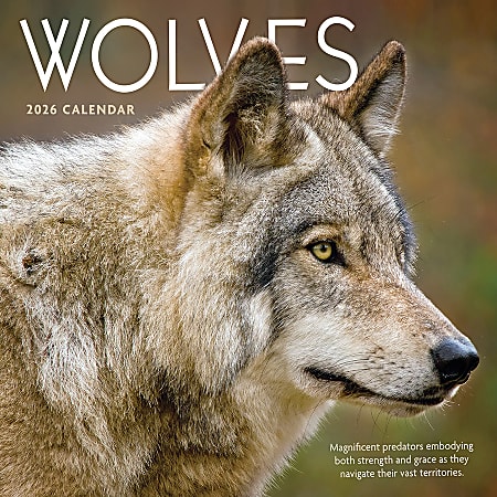 2026 TF Publishing Animals Monthly Wall Calendar, 12" x 12", Wolves, January To December